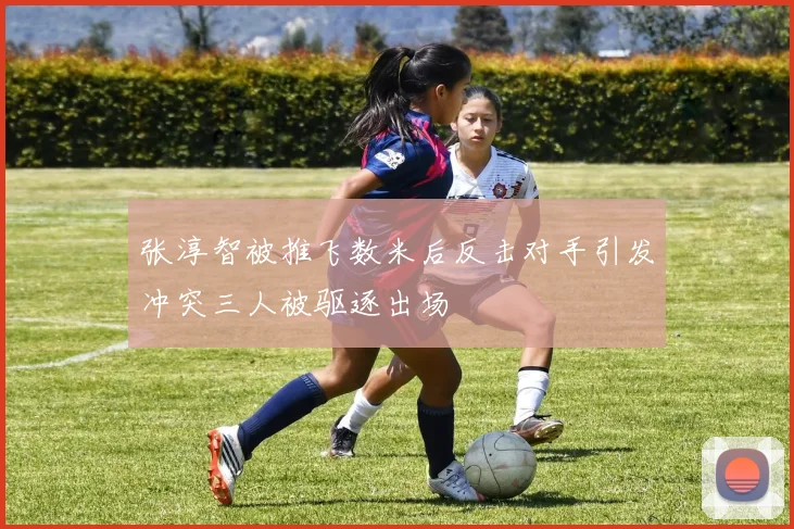 张淳智被推飞数米后反击对手引发冲突三人被驱逐出场