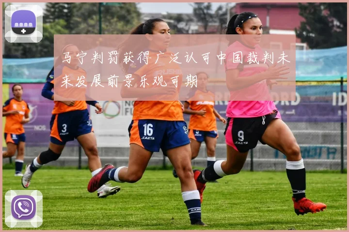 马宁判罚获得广泛认可中国裁判未来发展前景乐观可期